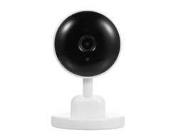 Камера видеонаблюдения WIFI F12-MP2 удаленный доступ Ycc365 Plus