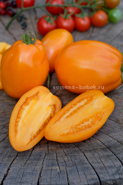 Томат Минусинские Стаканы Оранжевые, 10 шт