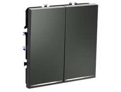 VLS020206 Выключатель двухклавишный с подсветкой, титан-1