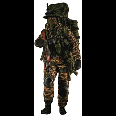 Горный мотострелок ВС РФ - Коллекционная ФИГУРКА 1/6 scale Armed Forces of the Russian Federation MOTORIZED RIFLE BRIGADE MOUNTAIN (78083) - DAMTOYS
