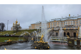 Царское Село+ Гатчина/ Павловск/Петергоф/ Кронштадт, Выборг
