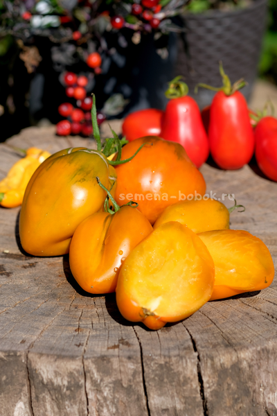Томат Огненный гребень цвета Охра (Cresta di Fuoco), 10 шт