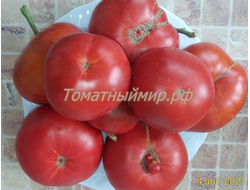 Томат Гном Кардинал Маура (Dwarf Maura’s Cardinal, США, Австралия)