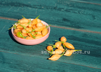 Перец острый Cabacinha Laranja, 10 шт