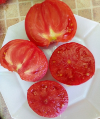 Томат Настоящий Бельмонте из Калабрии (Belmonte vero Calabro, Italy)