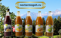 Могох сок купить