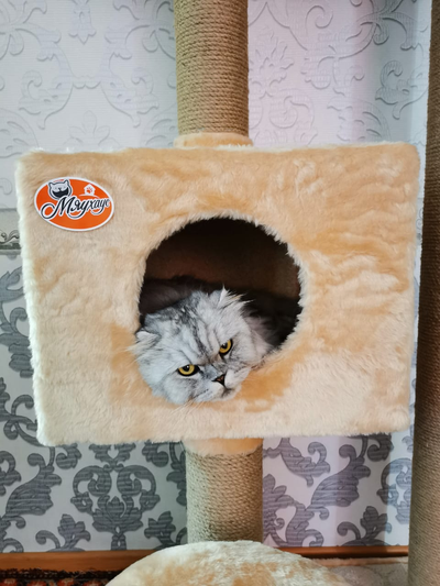 №161 Игровой комплекс "Мурзик"