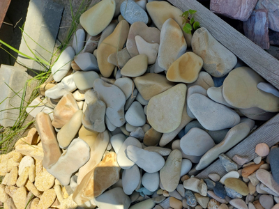 Галька Каспийская кривая