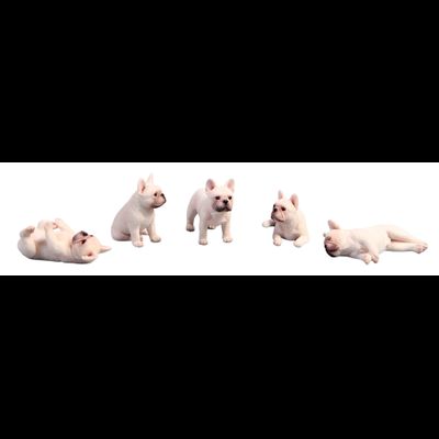 Французские бульдоги, набор из 5 фигурок (белые) - Коллекционная ФИГУРКА 1/12 scale Miniature French bulldog (JXK058B) - JXK