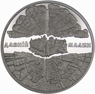 5 гривен Древний Малин, 2016 год