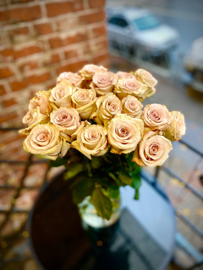 Роза Эквадор 60 см 19 шт