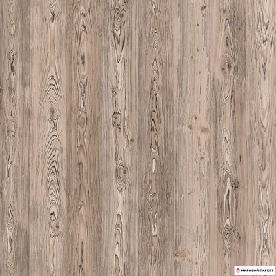 Ламинат My Step Arto Сосна Корнелис D50147 33 класс толщина 10 мм с фаской 1.536 м2
