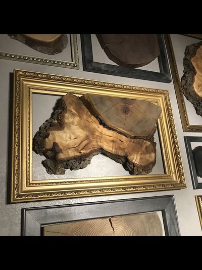 декор стены из спилов галерея