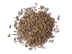 Кумин, Зира (Cuminum cyminum) 5 мл - 100% натуральное эфирное масло