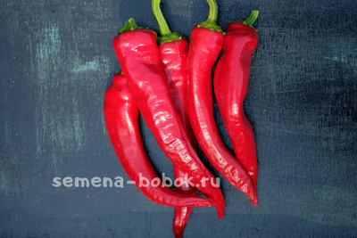 Перец острый Чудо Подмосковья, 10 шт