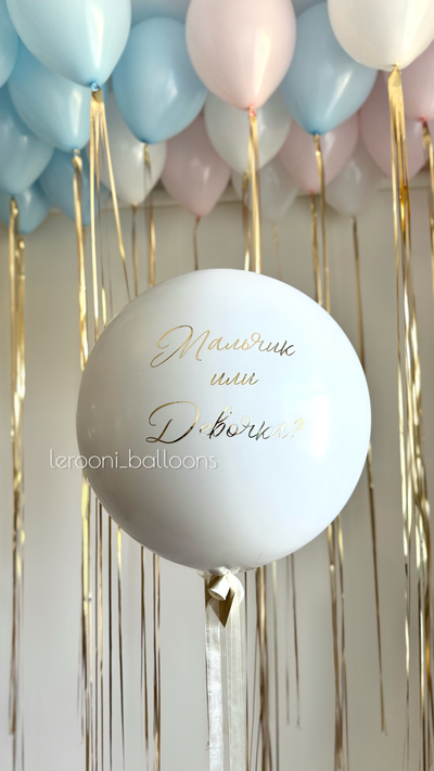 Комплект на гендер-пати №3