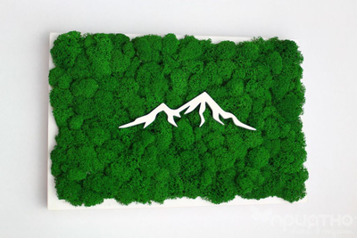 ЖИВАЯ ЭКО-КАРТИНА 1037