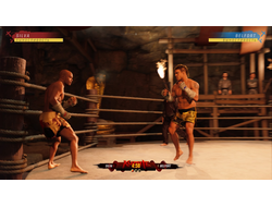 Игра EA Sports UFC 4 (PS4)