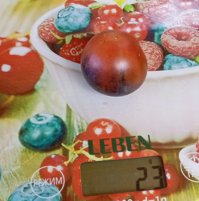 Томат Шоколадный подарок