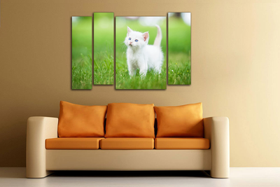 Модульная картина "Летний котенок"