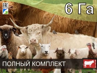 Универсальный электропастух СТАТИК-3М. Оптимально подходит для совместного выпаса разных животных