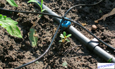 Капельница  8.0 л/ч 0,8-3.2bar компенсированная разборная  1/4 синяя