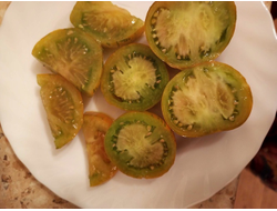 Томат Зеленый коньяк (Грин бренди, Green Brandy)