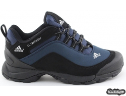 ADIDAS CLIMAPROOF СИНИЕ МУЖСКИЕ (40-45)