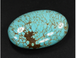 Бирюза, полировка плоская, США, Невада (33*22*10 мм, 8,5 г) №37840