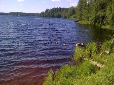 Соловки -  5 дней на Соловецком архипелаге с июня по сентябрь 2025г.