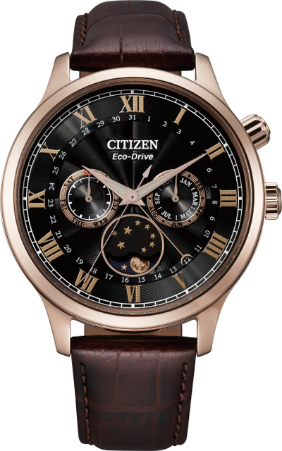 Наручные часы Citizen AP1059-19E