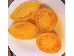 Томат Золотой клык