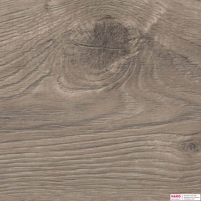 Декор ламината Haro Tritty 100 Дуб Портлэнд Серый 533121 структура
