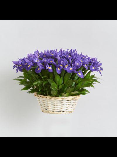 51 ирис в корзине