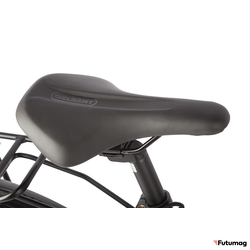 Электровелосипед Gelbert Ran Star 2 PRO зеленый