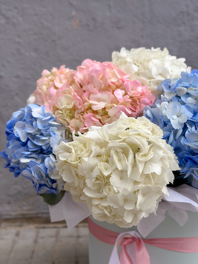 Коробка из 9 гортензий