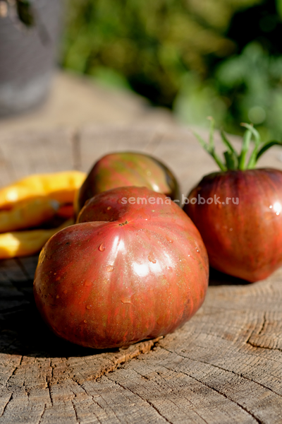 Томат Салют Виктории, 10 шт