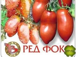 ТОМАТ "РЕД ФОКС" (1,8 м, 170г) подходит для еды и для сушки