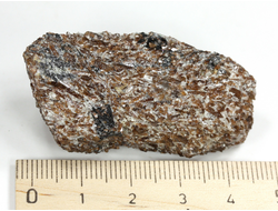 Титанит, Сфен, Кольский п-ов, Хибины (48*24*18 мм, 36 г) №29326