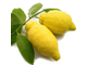 Цитрон (Citrus medica) - 100% натуральное эфирное масло