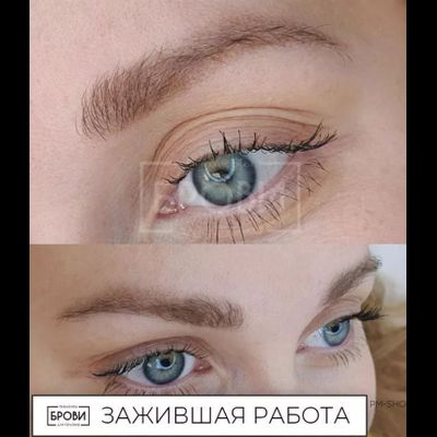 Брови. Спелая пшеница +