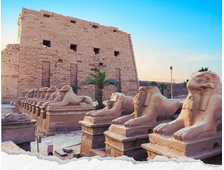 LUKSOR AUTOBUSEM Z MARSA ALAM, PROGRAM STANDARD