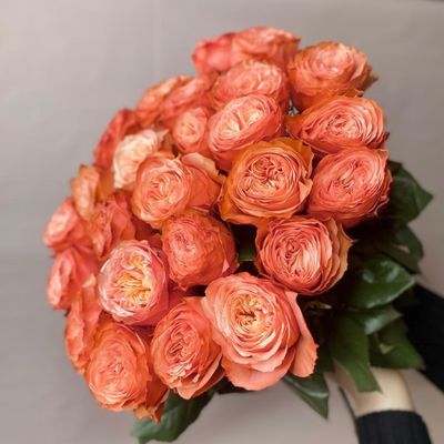 Букет из 25 одноголовых роз сорта &quot;Kahala&quot;