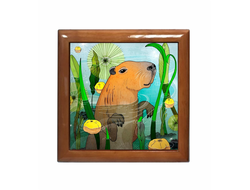 Шкатулка Капибара, Kapibara-san №16