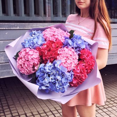 9 гортензий в матовой стильной упаковке