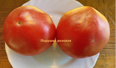 Томат Подушка розовая