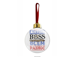 Новогодний ёлочный шар #9 Антон