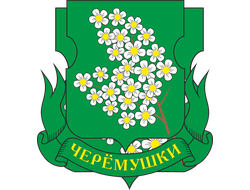 РЕКЛАМА НА СТОЙКАХ РАЙОН ЧЕРЁМУШКИ