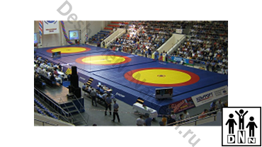 борцовский ковер