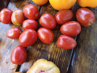 Томат Аргентинская сливка